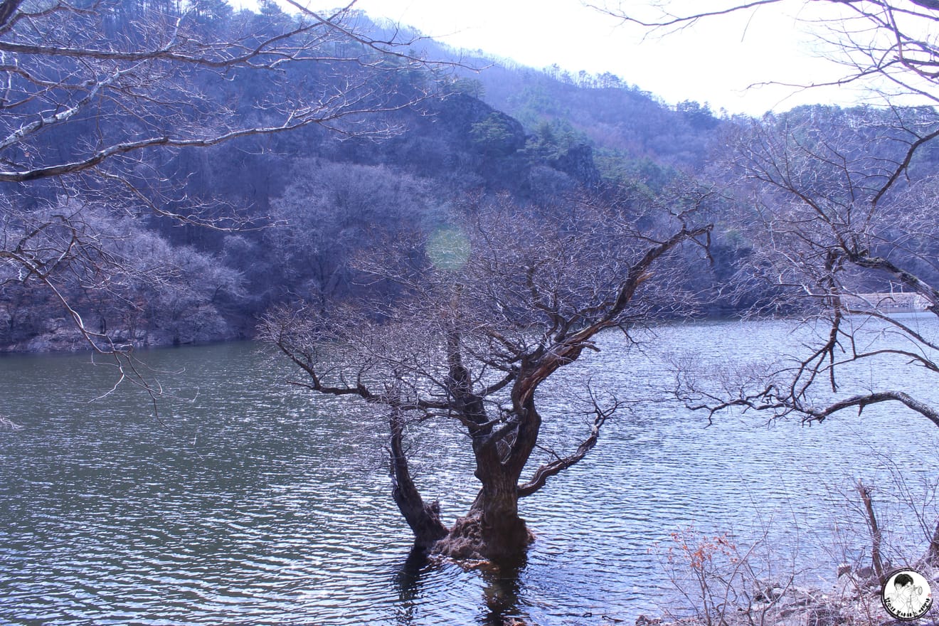 [Ulusal Park Pulları Turu] 4.Juwangsan Ulusal Parkı