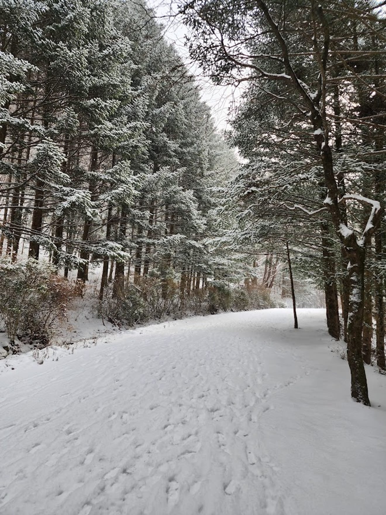 [National Park Stamp Tour] 13. Easy Snow Hiking in Naejangsan with a Cable Car, Even for Beginners