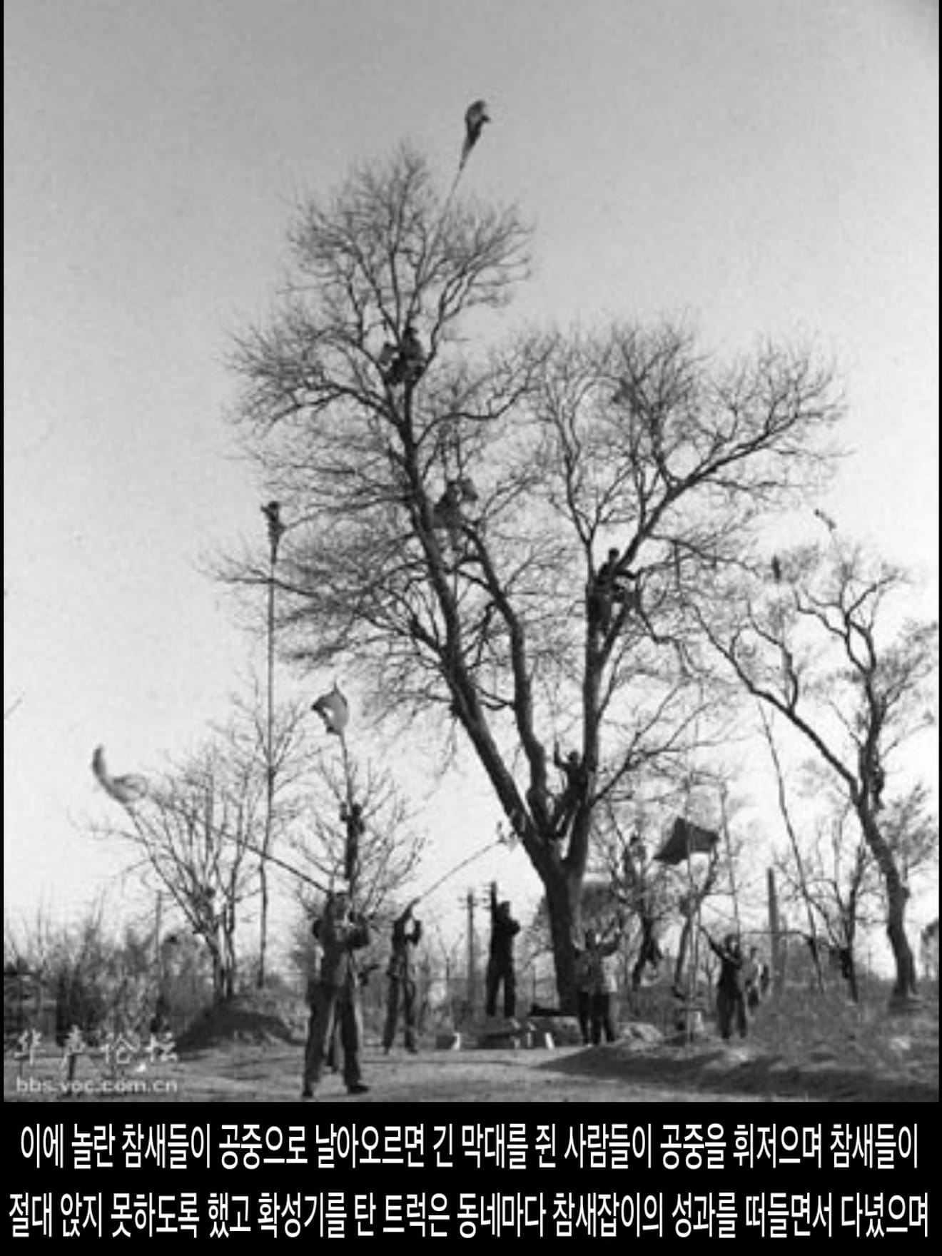 <DHC> นโยบายที่น่าสลดใจที่สุดในประวัติศาสตร์จีน การก้าวกระโดดครั้งใหญ่ ซึ่งทำให้ผู้คนหลายสิบล้านคนต้องเผชิญกับความตาย