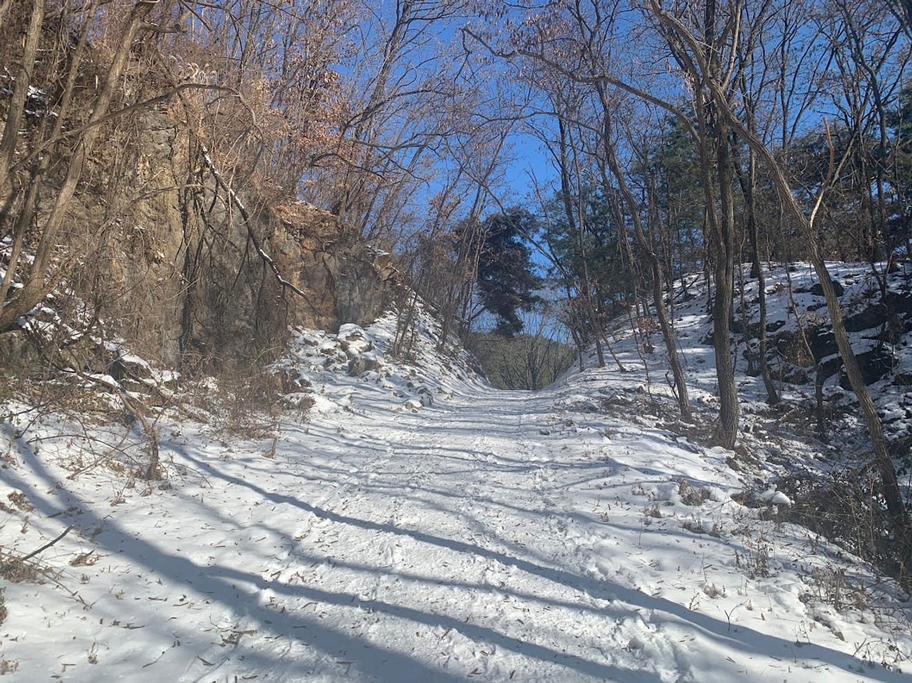 [Ulusal Park Pul Turu] 10. 월악산 (Walaksan) Yeni Başlayanlar İçin Kar Çiçeği Dağcılık Rotası Oksunbong'un Chungju Gölü Manzarası