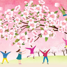 Service de prévision de la floraison des cerisiers en 2024 par l'Administration météorologique coréenne 