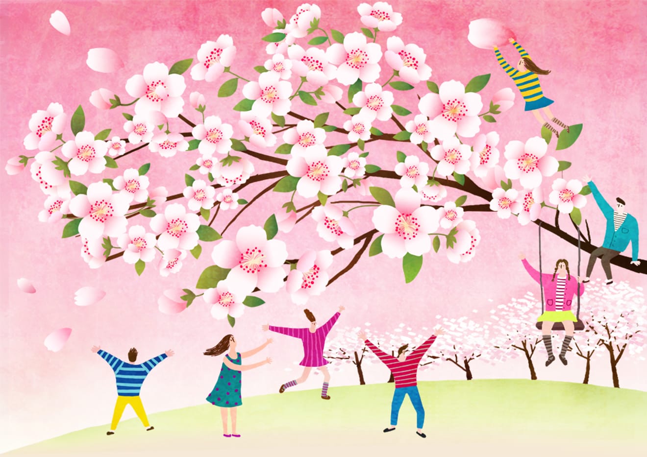 Korea Meteorological Administration Launches 2024 Spring Cherry Blossom Blooming Status Service