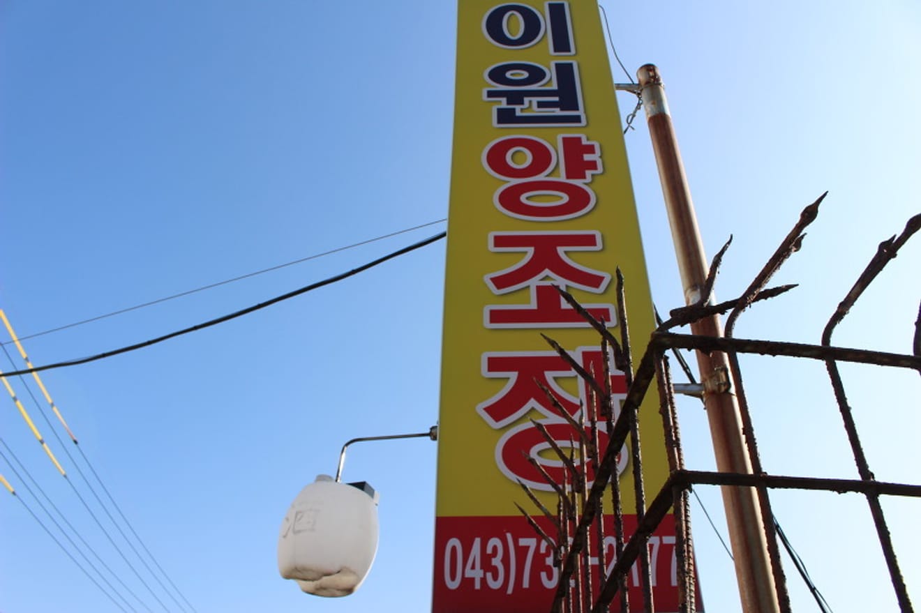 Son Zamanların Popüler İçeceği: İyon Yangjojang'ın 'Hasret' (향수) Mısır Bira