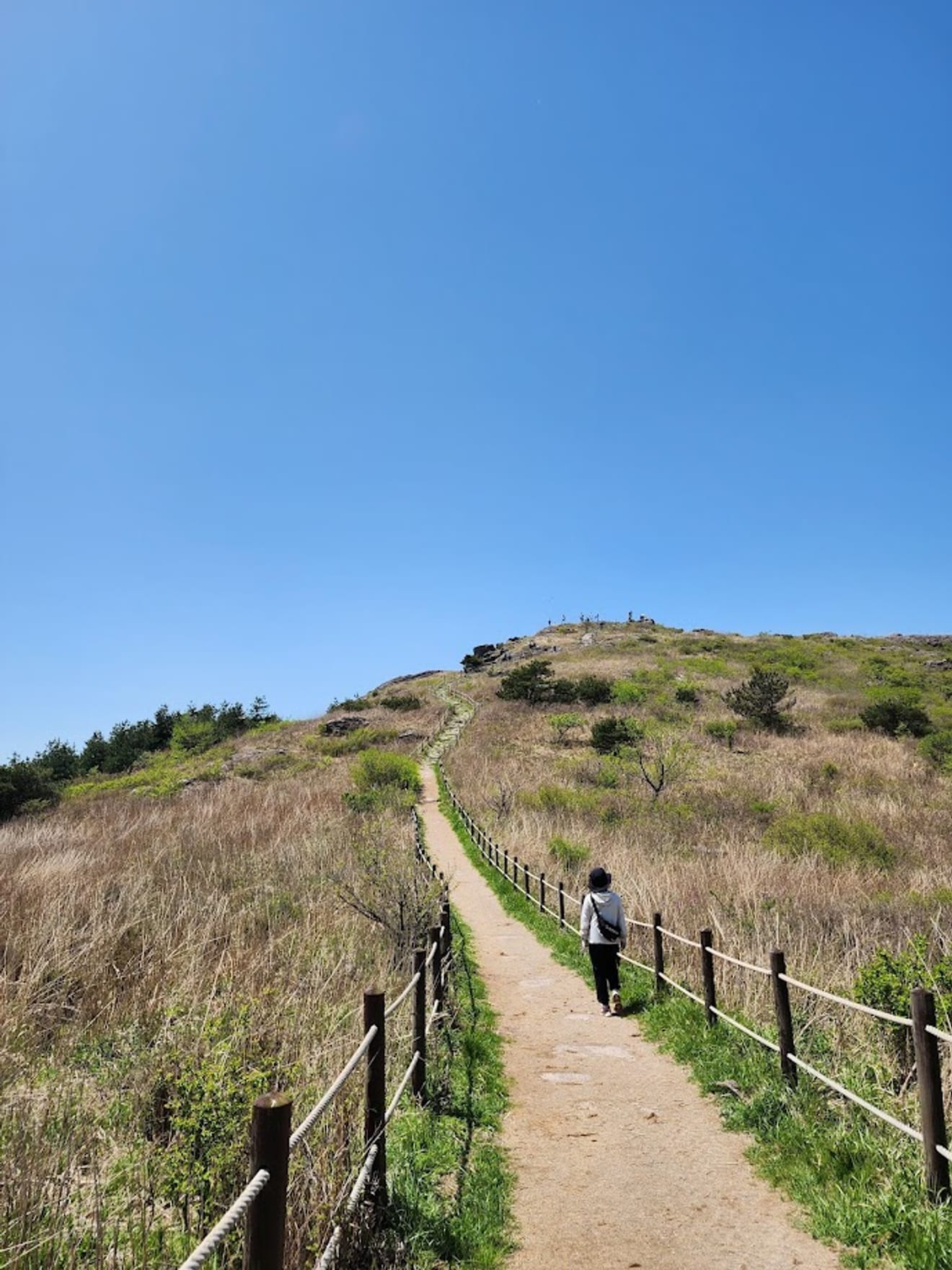 [National Park Stamp Tour] 14. Black Yak 100 Famous Mountains Mudeungsan Seoseokdae Mountain Climbing Stamp Passport (Island, Sea) Issue 2 Method