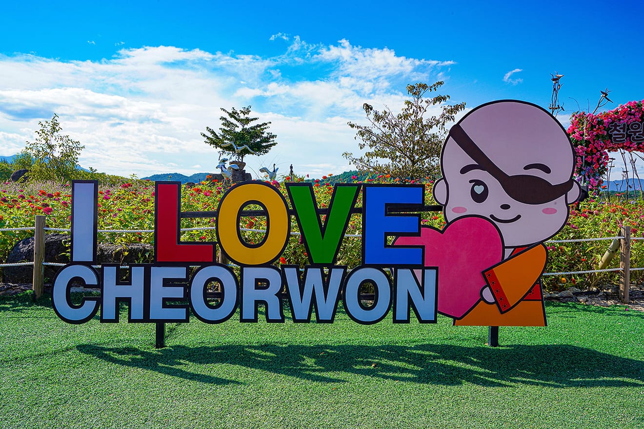 Những cánh đồng hoa ở Gokseokjeong, Cheorwon nhuộm màu sắc mùa thu