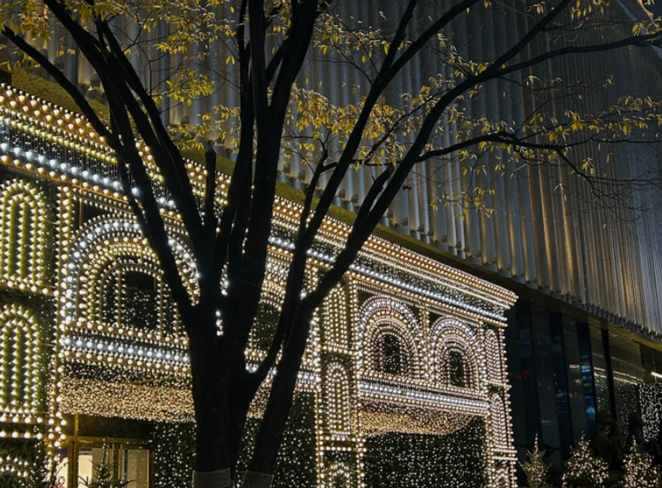 Seomyeon Light Festival and Places to Visit in Seomyeon, Busan