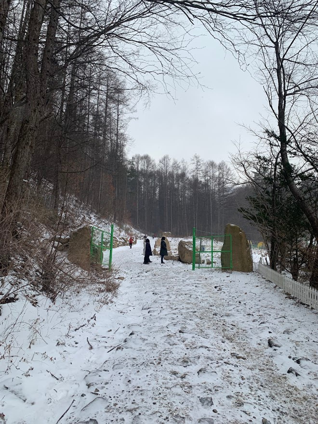 [National Park Stamp Tour] 11. Taebaeksan, Beautiful with Snow Flowers