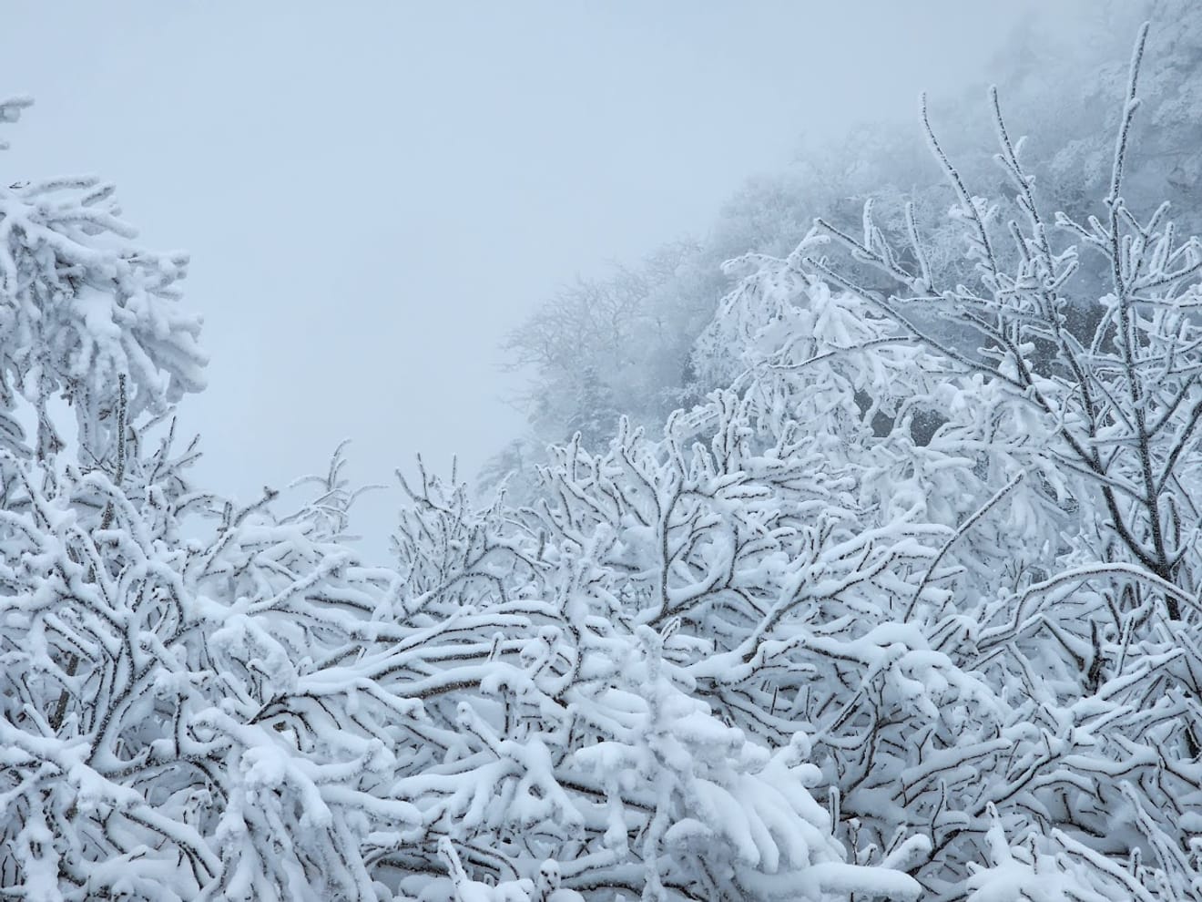 [National Park Stamp Tour] 13. Easy Snow Hiking in Naejangsan with a Cable Car, Even for Beginners