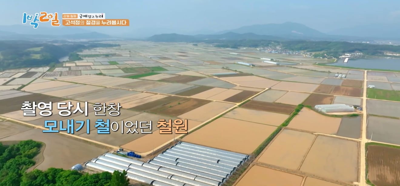 1 đêm 2 ngày, Gangwon-do Cheorwon, điểm đến thưởng ngoạn mùa xuân muộn nhất!