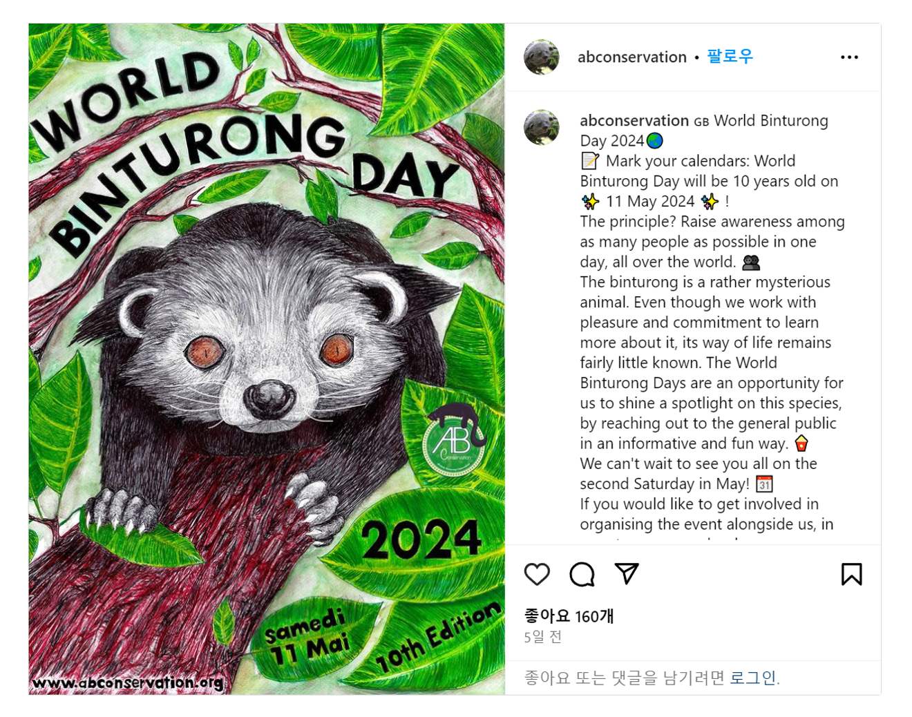 Gấu + Mèo = ?
