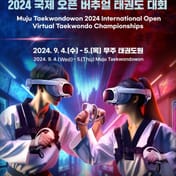 Taekwondo Matches in Virtual Space, International Virtual Taekwondo Tournament Held