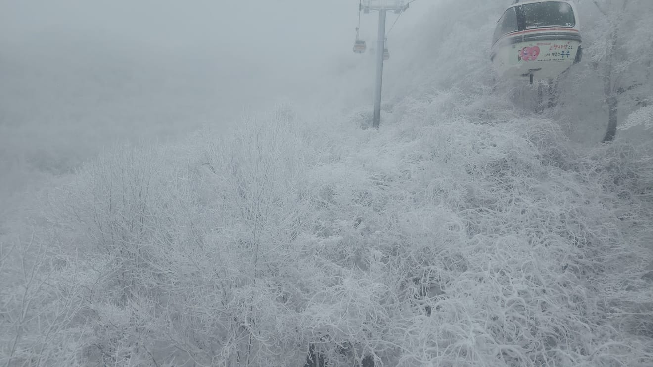 [National Park Stamp Tour] 13. Easy Snow Hiking in Naejangsan with a Cable Car, Even for Beginners