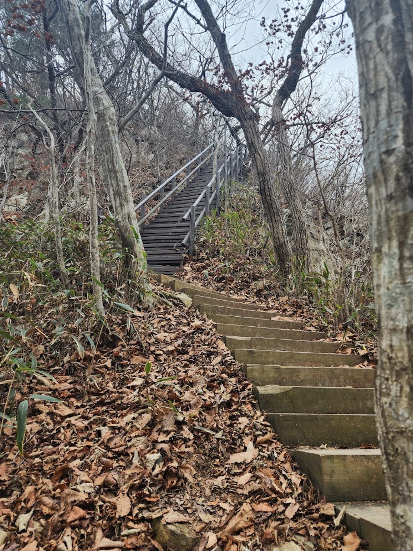 [National Park Stamp Tour] 12. Naejangsan National Park, Famous for its Maple Leaves, and the Cable Car
