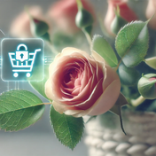 Venta ilegal de rosas en aplicaciones de compraventa: Por la protección de variedades raras y una cultura de rosas sostenible