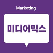 마케팅용어 - 미디어믹스