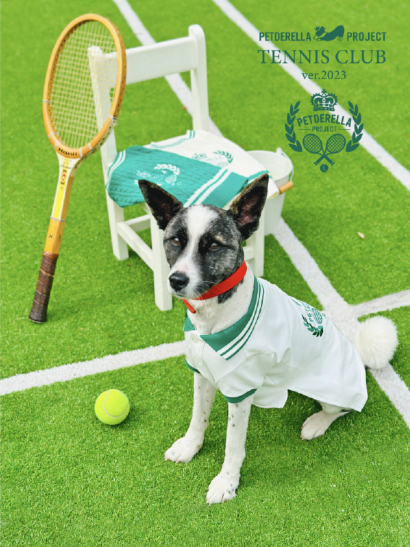 Nguồn: Petderella Project (ÁO THUN THỦY THỦ (NAVY) 38.000 won / ÁO THUN POLO TENNIS 48.000 won)