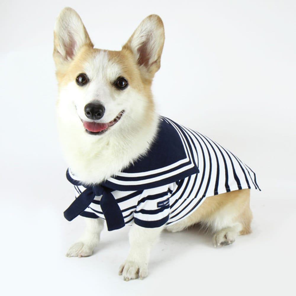 犬服ブランドのおすすめ