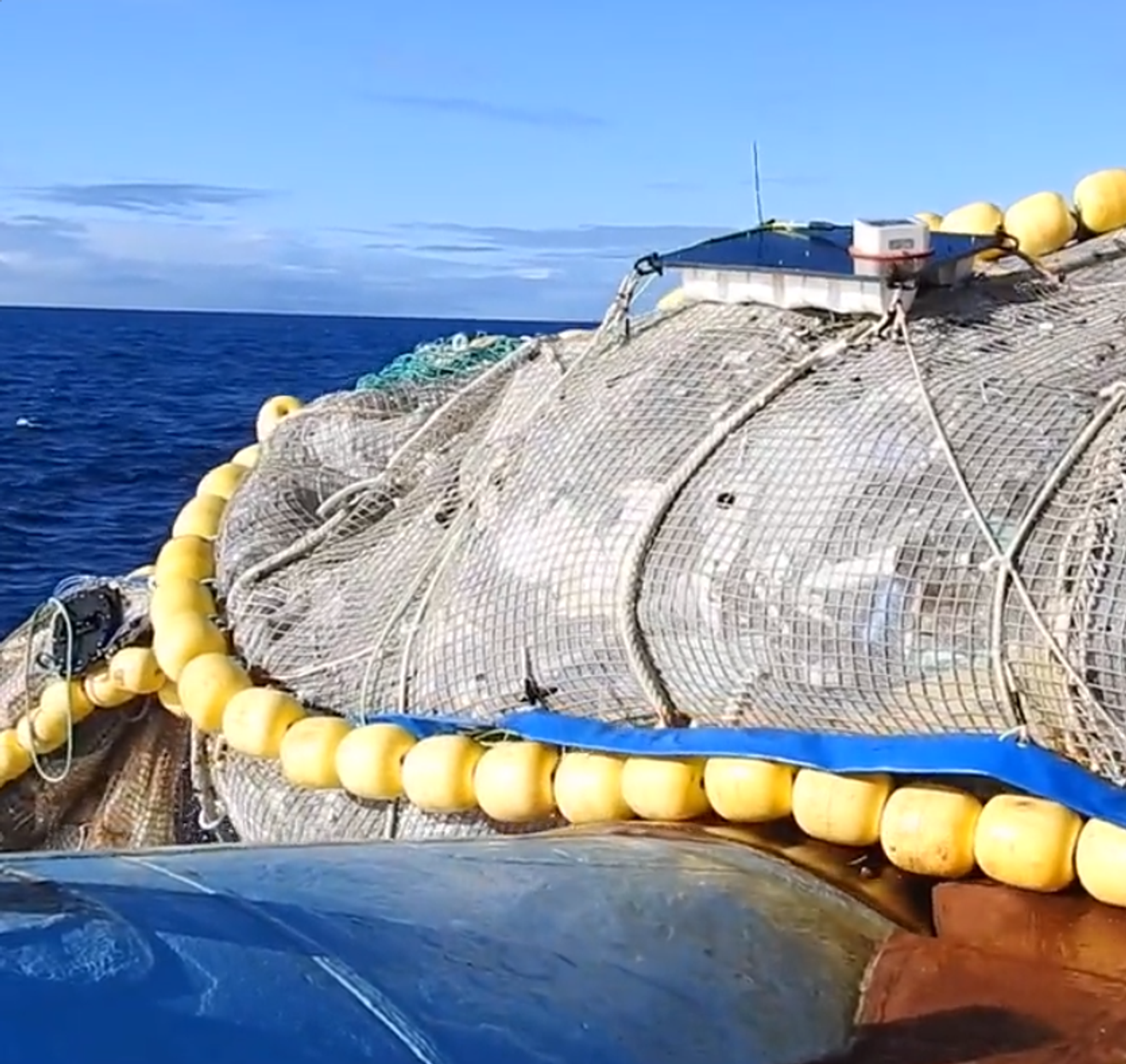 Más de 1 billón de piezas de basura marina en el Pacífico