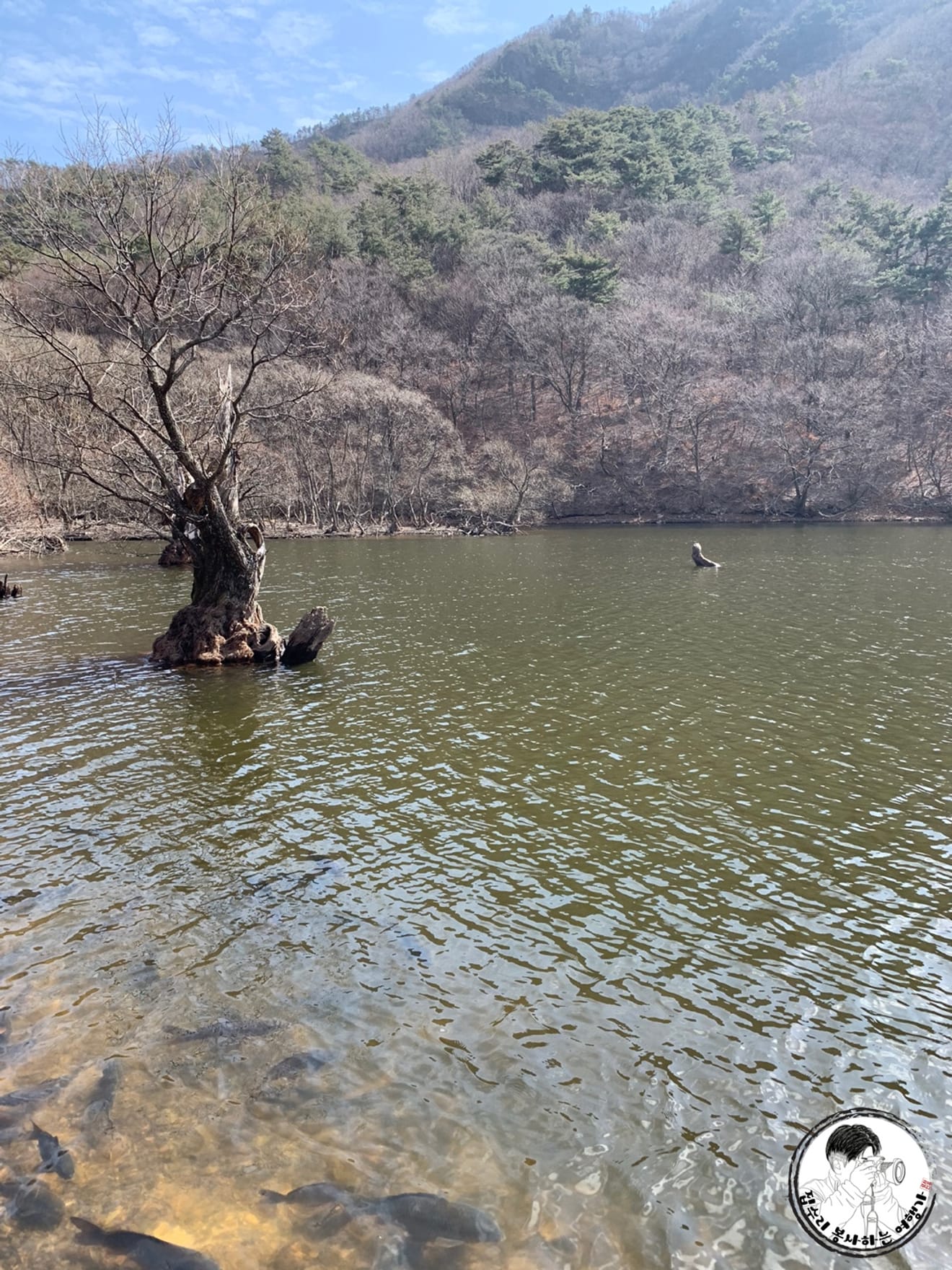[Ulusal Park Pulları Turu] 4.Juwangsan Ulusal Parkı