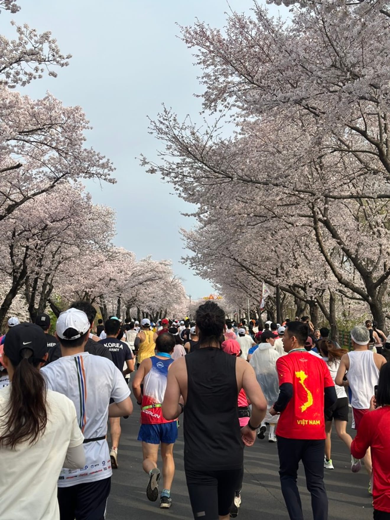 Kore'nin Kiraz Çiçeği Mekanlarını Doğru Şekilde Deneyimleme Yöntemi: Gyeongju Maratonu