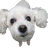 Profielfoto
